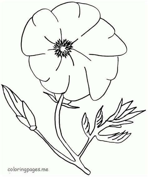 poppy coloring pages  kids coloring home