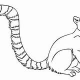 Coloring Tail Pages Tailed Animal Designlooter 300px 72kb sketch template