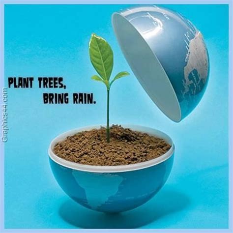 plant trees bring rain environment quote collection of