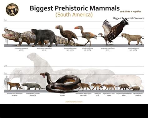 biggest prehistoric animals  sa carnivore poster