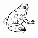 Frog Dart Poison Coloring Cartoon Drawing Jungle Book Illustration Vector Stock Frogs Outline Animals Animal Poisonous Rainforest Color sketch template
