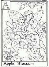 Coloring Pages Flower Wikihow Printable Related sketch template