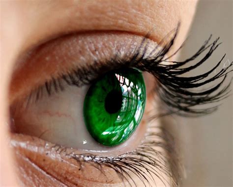 Green Eyes Color Scheme Image