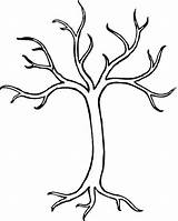 Tree Leaves Coloring Without Pages Winter Bare Trees Branches Drawing Easy Draw Kids Sketch Printable Outline Leaf Clipart Family Dead sketch template