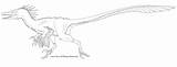Velociraptor Oviraptor Raptor Dinossauros Carnage Esculturas sketch template