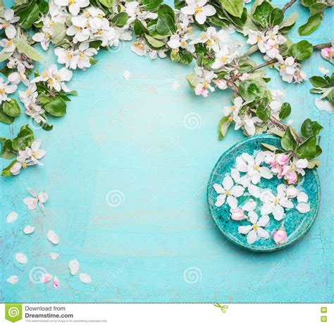 spa  wellness turquoise background  blossom  water bowl