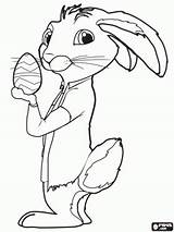 Coloring Hop Pages Easter Printable Bunny Drawing Printables Visit sketch template