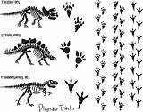Dinosaur Vector Clip Footprints Illustrations Skeleton sketch template