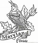 Coloring State Pages Maryland Bird Oriole Printable Iowa Baltimore Drawing Color Usa Birds Razorback Kids Logo Arkansas Mlb Blossom Apple sketch template