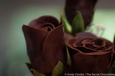 Edible Chocolate Roses The Secret Chocolatier