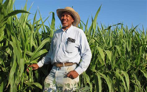 psst  farm bill includes  rare provision    black farmers  nation