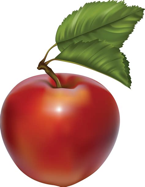 apple png