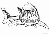 Shark Coloring Pages Jaws Teeth Outline Sharp Printable Great Template Drawing Hideous Long Color Sharky Find Place Trending Days Last sketch template