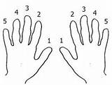 Piano Finger Numbers Fingering Fingerings Number Play Music Fingers Each Given sketch template