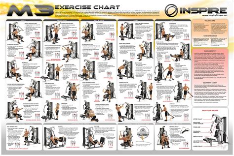 Marcy Home Gym Workout Plan Marcy Home Gym Workout Routine Eoua