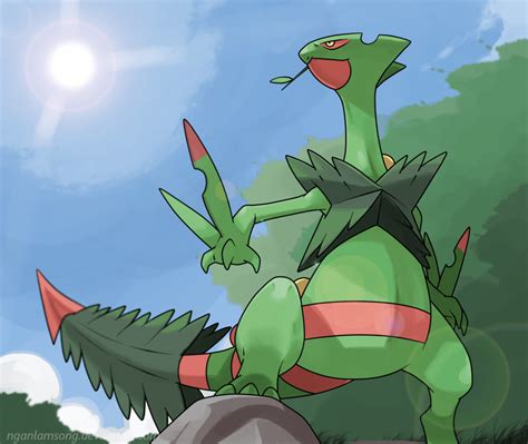 sceptile hd wallpapers wallpaper cave