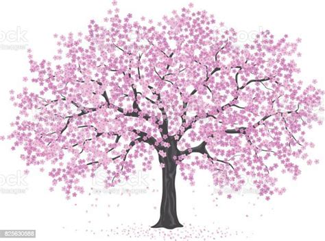 Pink Cherry Blossom Tree Sakura Stock Illustration Download Image Now