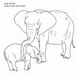 Elephant African Color Baby Coloring Mother Calf Pages Mom Line Own Inkspired Musings Index Children sketch template