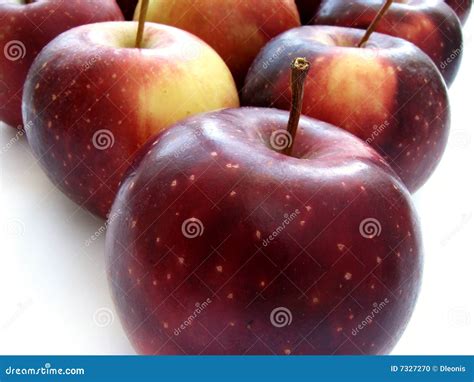 purple apples stock photo image  snack farm meal