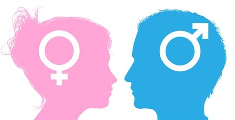 Blog 13 Do Gender Roles Define You Mrs Guillory S