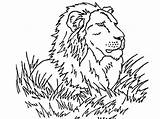 Lion Coloring Stained Glass Pages Head Kids Animal Printable sketch template