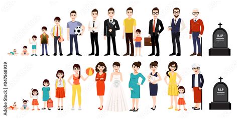character  human life cycles vector illustration male  female