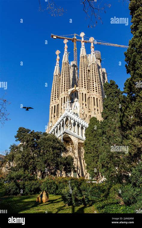 park  cathedral  la sagrada familia  barcelona spain stock photo alamy