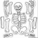 Skelett Scheletro Ausmalbilder Esqueleto Colorare Sonriente Ritagliare Ausschneiden Recortar Kindergarten Squelette sketch template