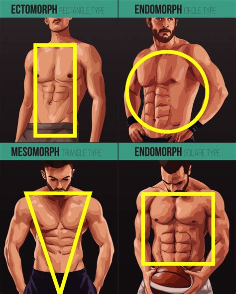 pin  exercises  abs