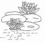 Coloring Pages Lily Pad Printable Water Pads Kids Clipart Outline Flower Drawing Library Bestcoloringpagesforkids Popular Related Books sketch template