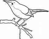 Coloring Birdie Little sketch template