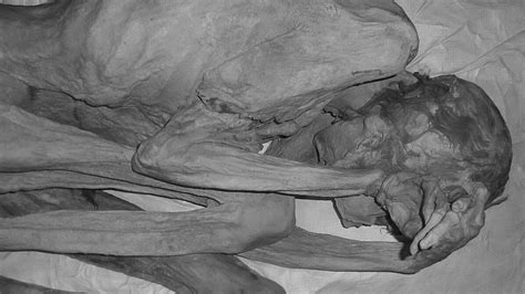 5 000 year old mummy is earliest known tattooed woman gizmodo australia