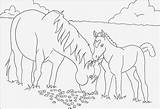 Bibi Ausmalbilder Kids Ausmalbildertv Pferde Wands Malvorlagen sketch template