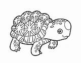 Tortoise Star Coloring Indian Coloringcrew sketch template
