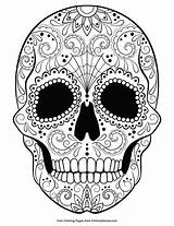 Skull Mandala Kleurplaten Erwachsene Skulls Mandalas Ausmalbilder Coloriage Totenkopf Imprimir Adults Doodshoofd Primarygames Witch Calaveras Kleurplaat Masque Vorlage Mexicanas Ausmalbild sketch template