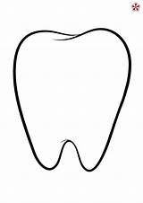 Tooth Printables Preschool Dente Teeth Teachersmag Dientes Porozhe sketch template