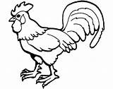 Rooster Coloring Pages Drawing Hen Kids Simple Animal Printable Grasshopper Clipart Color Children Print Coloringsky Animals Confidential Adults Getcolorings Getdrawings sketch template