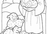 Coloring Pages Sheep Shepherd Lost Parable Getdrawings Getcolorings Printable Color Little Colorings Good sketch template