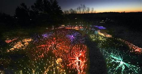landscape arboretum hosts colorful winter light show startribunecom