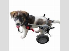 Best Friend Mobility Dog Wheelchair, Small