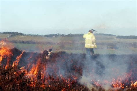 john williamson photography landscapes burning heather northumberland uk