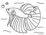 Coloring Pages Fish Realistic Betta Ocean Fishing Jellyfish Color Price Printable Rod Saltwater Drawing Cheap Getcolorings Simple Freshwater Box Getdrawings sketch template