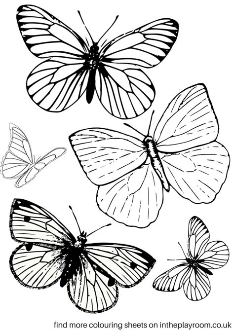 images  school insects  pinterest butterfly crafts