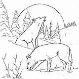 Wolf Coloring Pages Howling Printable Moon Wolves Pack Print Night Couple Color Cool Drawing Sheets Coloring4free Arctic Wolfs Animals Kids sketch template