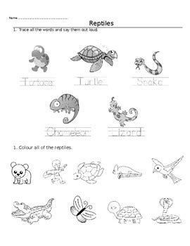 theme worksheet reptiles  teacher shauna esl tpt