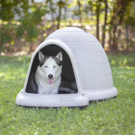 luxury dog houses  outdoors   review