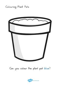 colouring plant pots  twinkl printable resources tpt