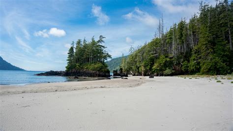 one of the many sandy beaches of vancouver island canada [4912x2760] [oc] earthporn