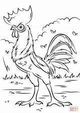 Coloring Moana Pages Heihei Rooster Printable sketch template