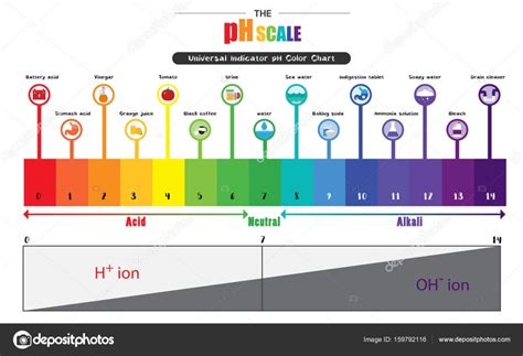ph scale universal indicator ph color chart diagram stock vector image  cpuimotifgmail